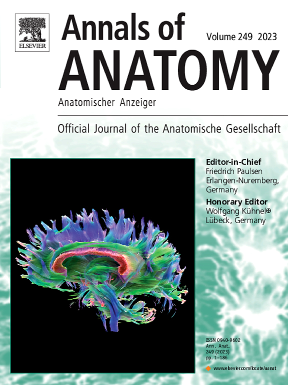 Go to journal home page - Annals of Anatomy - Anatomischer Anzeiger